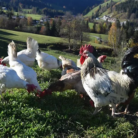 Schlöglgut Apartment