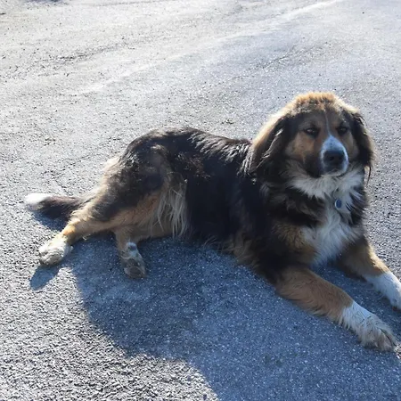 Schlöglgut Apartment