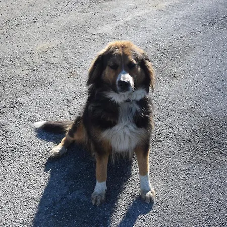 Schloeglgut * Mühlbach am Hochkönig
