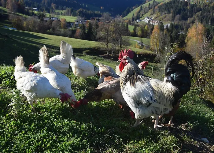 Schloeglgut Διαμέρισμα