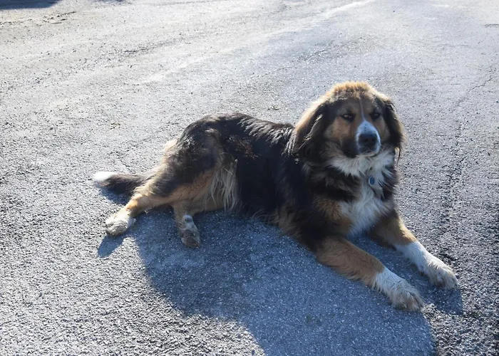 Schloeglgut Διαμέρισμα