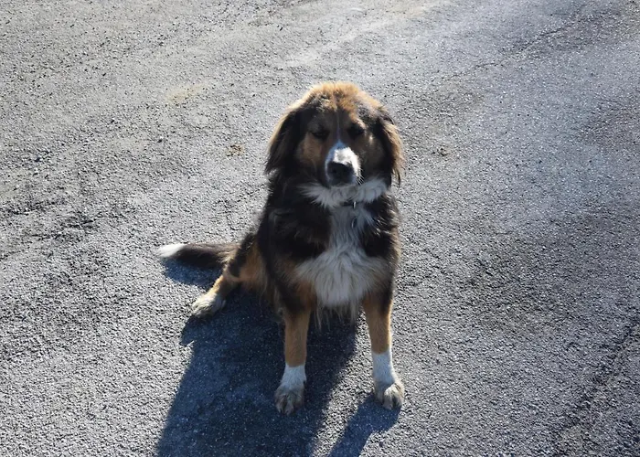 Schloeglgut * Mühlbach am Hochkönig