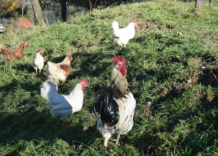 Schloeglgut * Mühlbach am Hochkönig