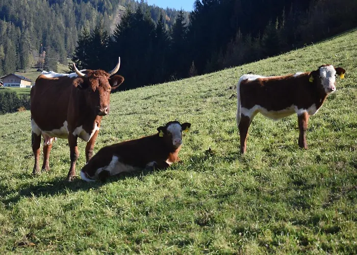 Διαμέρισμα Schloeglgut